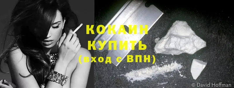 COCAIN Fish Scale  цены   гидра ссылка  Котлас 