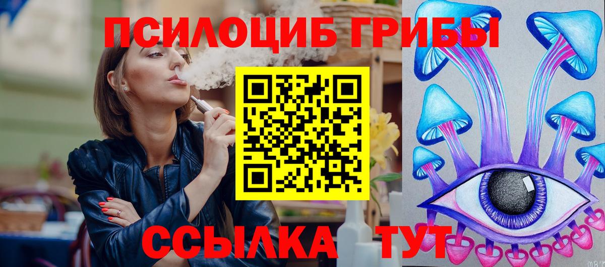 Галлюциногенные грибы Psilocybe  Котлас  Псилоцибиновые грибы прущие грибы 