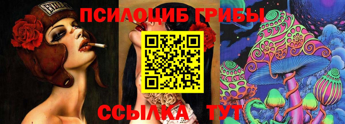 где продают наркотики  Псилоцибиновые грибы мухоморы  Вход с VPN  Котлас 