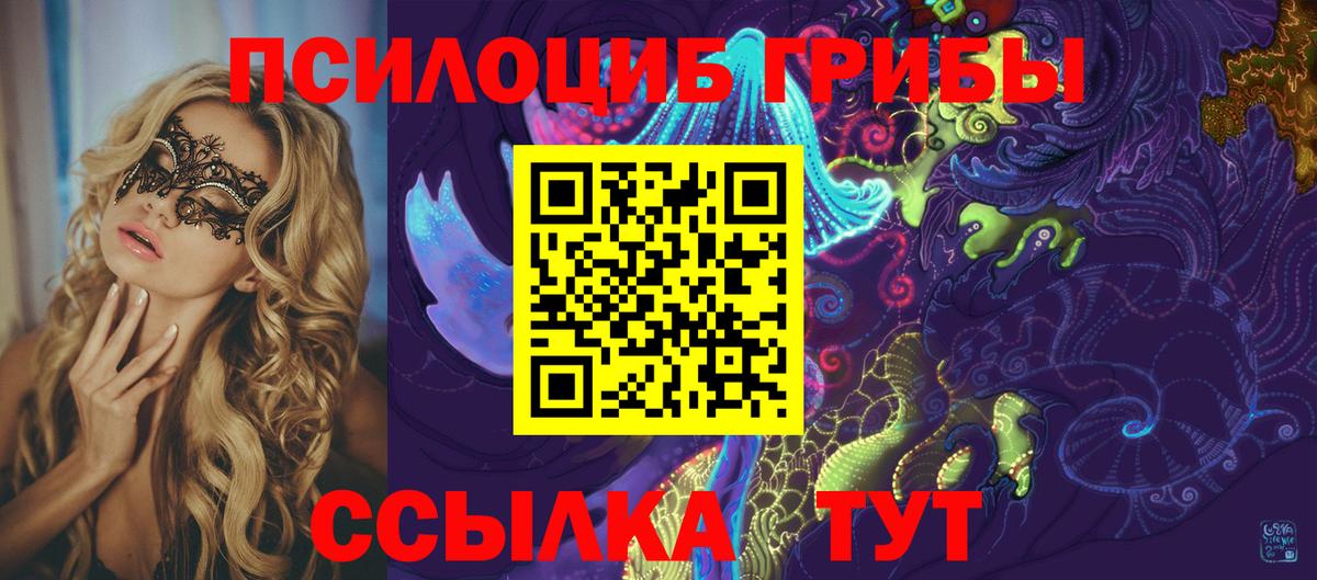 Псилоцибиновые грибы Cubensis Котлас