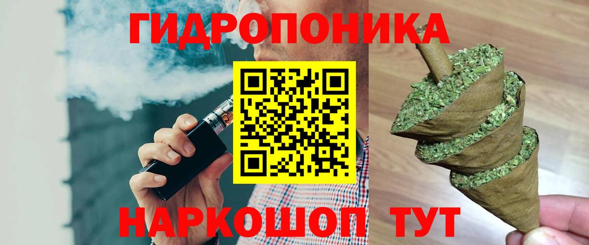 Шишки марихуана тримм  Вход с VPN  МАРИХУАНА ГИДРОПОН  Бошки Шишки марихуана  Котлас 